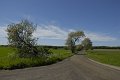 _DSC10146