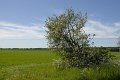 _DSC10149