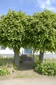 _DSC10156
