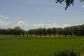 _DSC10224