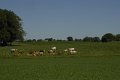_DSC10228