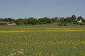 _DSC10230