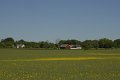 _DSC10232