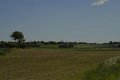 _DSC10234