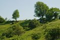 _DSC10250