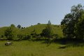 _DSC10257