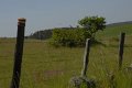 _DSC10263