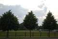 _DSC10269