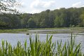 _DSC10282
