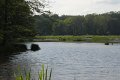 _DSC10284