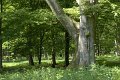 _DSC10288