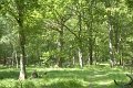 _DSC10291
