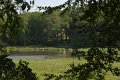 _DSC10294
