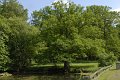 _DSC10300