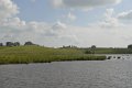 _DSC10317