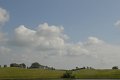 _DSC10333