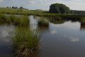 _DSC10344