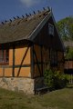 _DSC10367