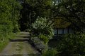 _DSC10369