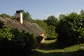 _DSC10383