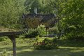 _DSC10392