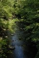 _DSC10404