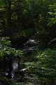 _DSC10405