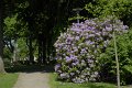 _DSC10410