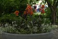 _DSC10440
