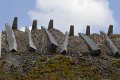 _DSC10469
