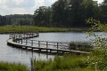 _DSC10506