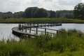 _DSC10507