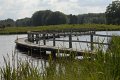 _DSC10509