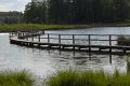 _DSC10510