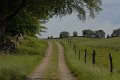 _DSC10515