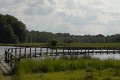 _DSC10520