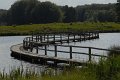 _DSC10524