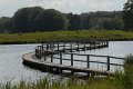 _DSC10525
