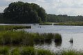 _DSC10527