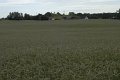 _DSC10585