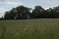 _DSC10586