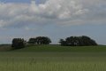 _DSC10608