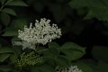 _DSC10622