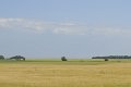 _DSC10752