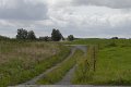 _DSC11185