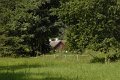 _DSC11313