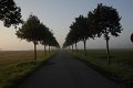_DSC11488