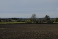 _DSC11549