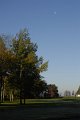 _DSC11754
