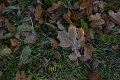 _DSC11760